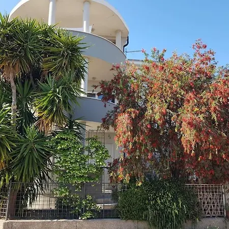 Tree Of Life Kaštela