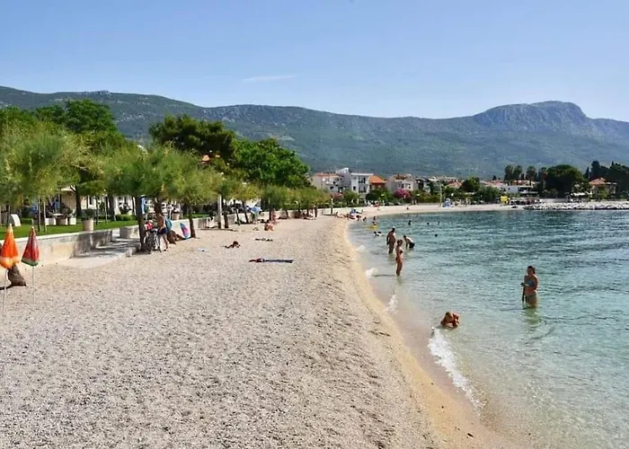 Tree Of Life * Kaštela