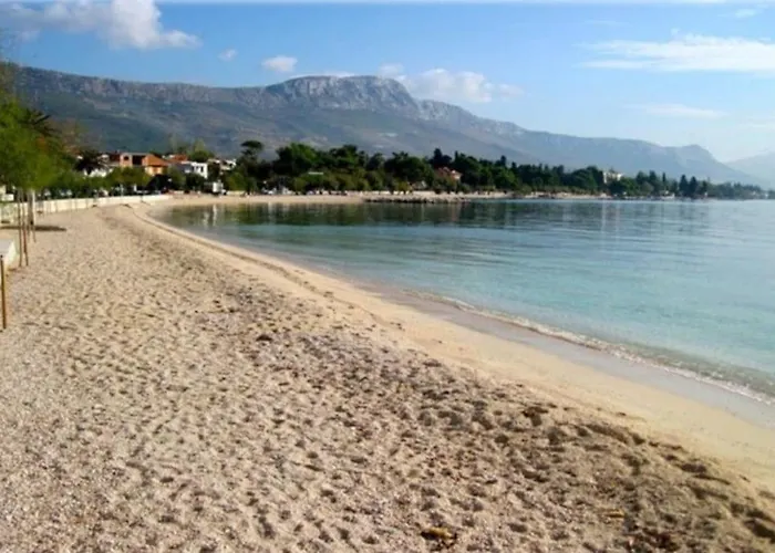 公寓 Tree Of Life *