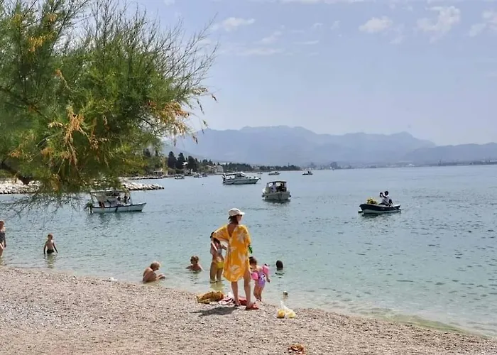 公寓 Tree Of Life *