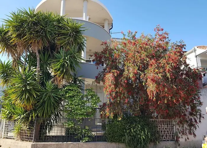 Tree Of Life Kaštela